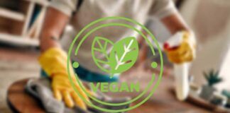 Ricette per pulizie vegane - RicettaSprint