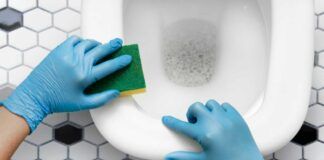 Strisce gialle nel wc - RicettaSprint