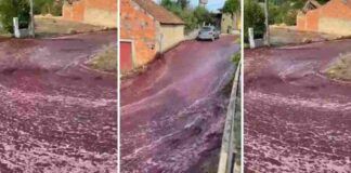 Paese invaso dal vino in Portogallo