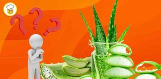 Aloe vera perché dovremmo averla in casa Non è come pensi!