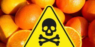 Arance contaminate con macchie nere importate dal Sudafrica