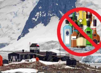 Troppi alcolici fanno male, vietati in Antartide dopo incidenti