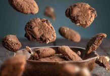 Biscotti tartufati con cacao noci e caffè, tris perfetto per un croccante spuntino goloso ricettasprint.it