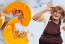 Ciambellone della nonna sì, ma con la zucca e il cioccolato: si scioglie davvero in bocca Ciambellone zucca e cioccolato - RicettaSprint