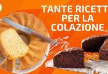 Ciambelloni per tutti i gusti perfetti per la colazione della tua famiglia, scopri le ricette