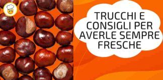 Come conservare a lungo le castagne trucchi e consigli per averle sempre fresche