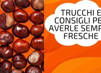 Come conservare a lungo le castagne trucchi e consigli per averle sempre fresche