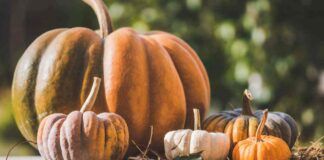 Come conservare la zucca - RicettaSprint