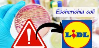 Richiamo alimentare Lidl per possibile rischio microbiologico