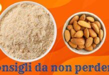 Farina di mandorle fatta in casa i consigli per una preparazione ad hoc
