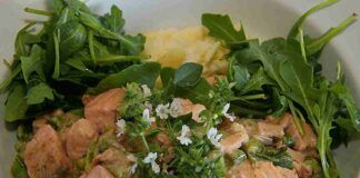 Insalata di rucola con tocchetti cremosi di pollo su letto di patate: un piatto sorprendente dal mix speciale ricettasprint.it