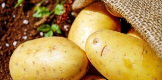 Le patate si posso congelare - RicettaSprint