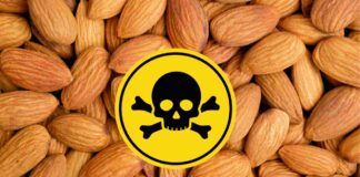 Mandorle con muffe e parassiti perfettamente commestibili per l'importatore