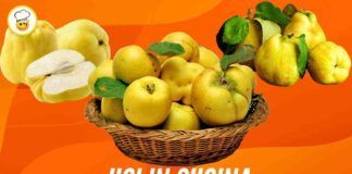 Mela cotogna un frutto che non tutti apprezzano, scopriamo i migliori usi in cucina