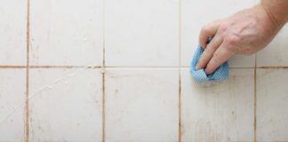 Togliere la muffa nelle pareti - RicettaSprint