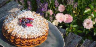 Pan di Spagna bigusto con carote e cioccolato 14102023 ricettasprint