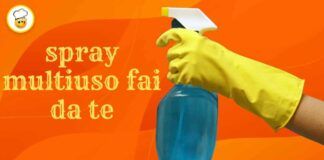 Spray multiuso fai da te per pulire casa puoi dire basta a tutti quei flaconi di detersivi nel mobile!