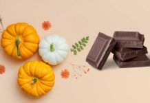Tortino 2.0 ti occorre solo della zucca e del cioccolato Torta di zucca 2.0 - RicettaSprint