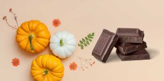 Torta di zucca 2.0 - RicettaSprint