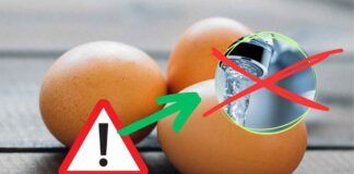 Perché non sciacquare mai le uova sotto acqua corrente, si rischia la Salmonella