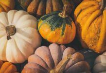 Prendi le zucche di Halloween - RicettaSprint