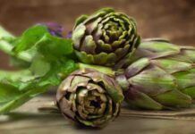 Come cucinare il carciofo alla romana come lo fanno a Roma, la ricetta infallibile delle vecchie trattorie Come cucinare il carciofo alla romana come lo fanno a Roma, la ricetta infallibile delle vecchie trattorie