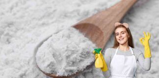 Amido di riso non solo in cucina - RicettaSprint