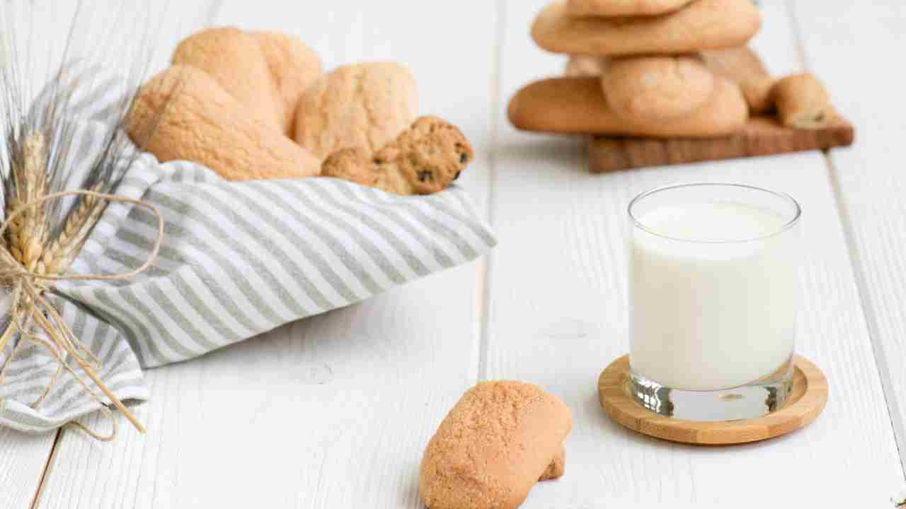 Biscotti da inzuppo solo latte e farina, la mattina non conterai più le calorie, sono leggerissimi  --- (Fonte immagine: https://www.ricettasprint.it/wp-content/uploads/2023/11/Biscotti-da-inzuppo-solo-latte-e-farina-la-mattina-non-conterai-piu-le-calorie-sono-leggerissimi.jpg)