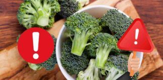 Come eliminare parassiti e vermi da broccoli e verdure, i metodi consigliatissimi