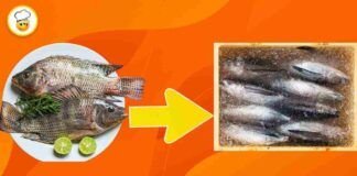 Come congelare correttamente il pesce così da preservarne gusto e profumo