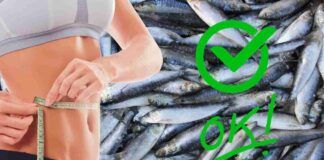 Dieta delle sardine che cosa mangiare e quanto dura