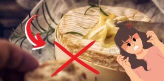 Formaggio Camembert senza più confezione in legno su disposizione della UE