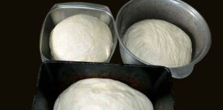 Impasto della pizza, perché non cresce e si ritira