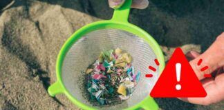 Allarme microplastiche, l'uso della asciugatrice farebbe aumentare la loro diffusione
