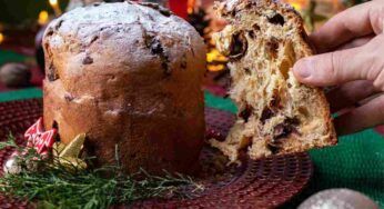 Mini panettoni ricchi di gocce di cioccolato: senza lievitazione, zero sbattimento, festeggiamo alla grande il Natale