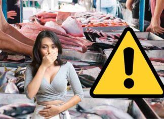 Mercurio nel pesce in del tonno che proviene dalla Spagna