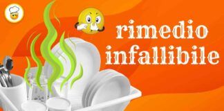 Piatti, teglie e pentole puzzano di pesce anche dopo il lavaggio Non serve candeggina, ti do la soluzione definitiva