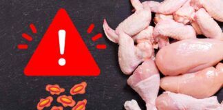 Salmonella nella carne di pollo, tanti focolai segnalati
