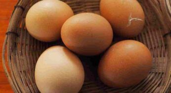 Basta con il solito antipasto di Natale: prova le uova fatte così, con meno di 2 euro fai un figurone