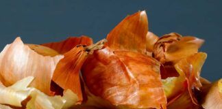Bucce delle cipolle non buttarle via - RicettaSprint