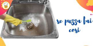 Cattivi odori dal lavello della cucina Non basta pulire lo scarico, ecco come rimediare!