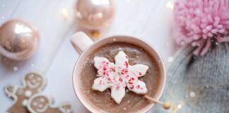 Mi ero stancata della solita cioccolata calda, ci ho messo questi ingredienti e adesso la preparo solo così ricettasprint.it