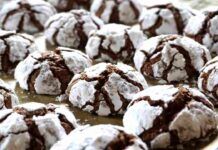 Con un solo uovo e poco cioccolato ti faccio preparare dei biscotti morbidissimi, così rendi magico il Natale