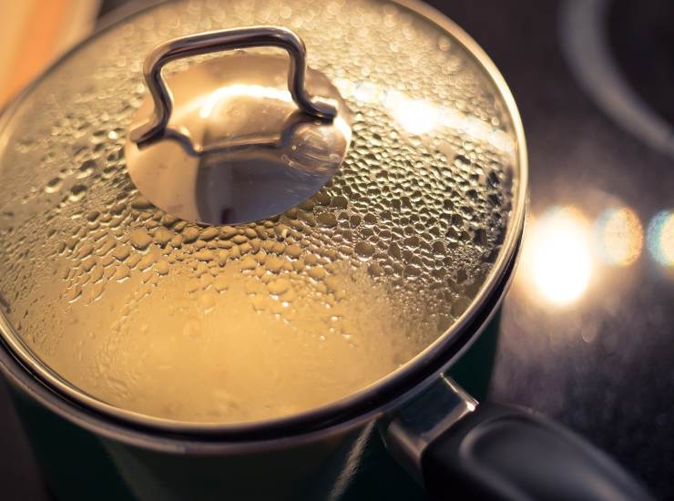Con una melanzana prepari il pranzo per tutta la famiglia, super gustoso e pronto in soli 10 minuti Ricettasprint