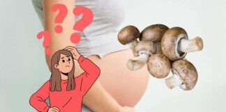 Perché in gravidanza non si possono mangiare funghi e come non correre rischi