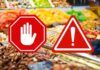 Allarme aflatossine il richiamo alimentare dal RASFF