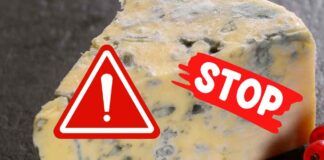 Listeria nel Gorgonzola, scatta il richiamo alimentare