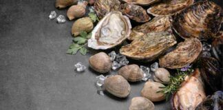 Dove si buttano i gusci di cozze, vongole e simili