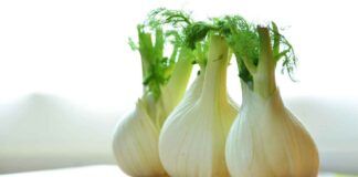 Ricetta dell'insalata speciale con i finocchi - RicettaSprint