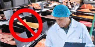 Istamina nel pesce richiamo alimentare urgente, quali conseguenze